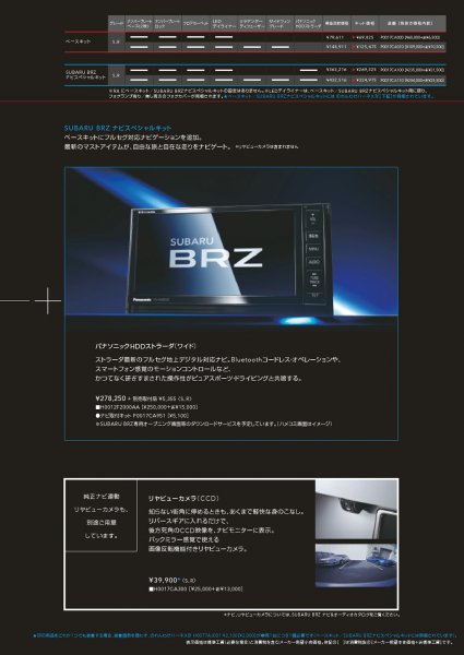 Brz_Acc-4-2.jpg