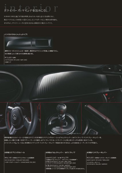 Brz_Acc-6-1.jpg