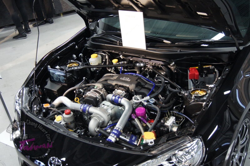 DSC00120-8.JPG