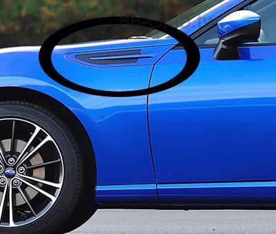 fender garnish.jpg