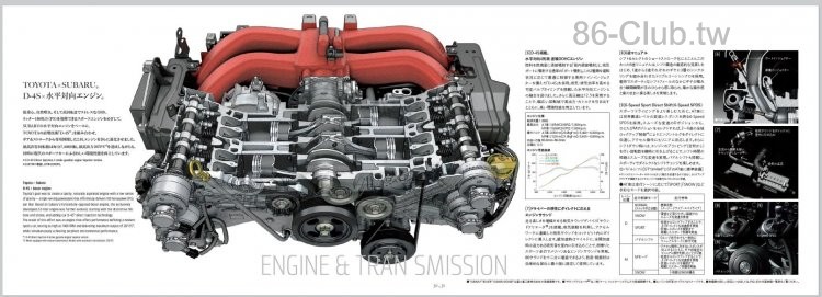 p14.jpg