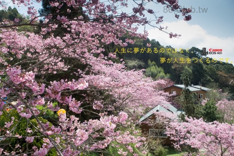 恩愛農場